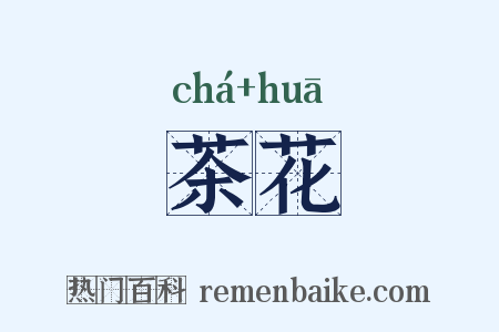茶花是什么意思的图片